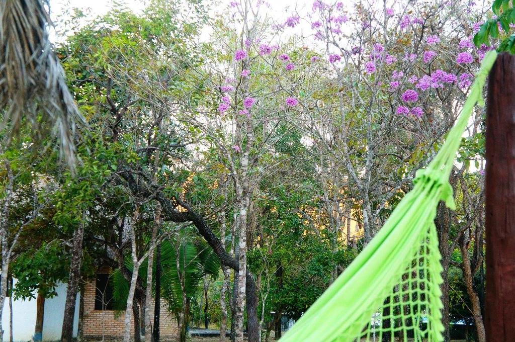 Pousada E Camping Aldeia Da Lua São Jorge Eksteriør bilde
